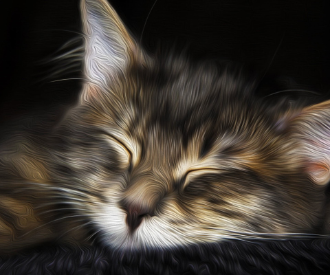 Screenshot №1 pro téma Sleepy Cat Art 480x400