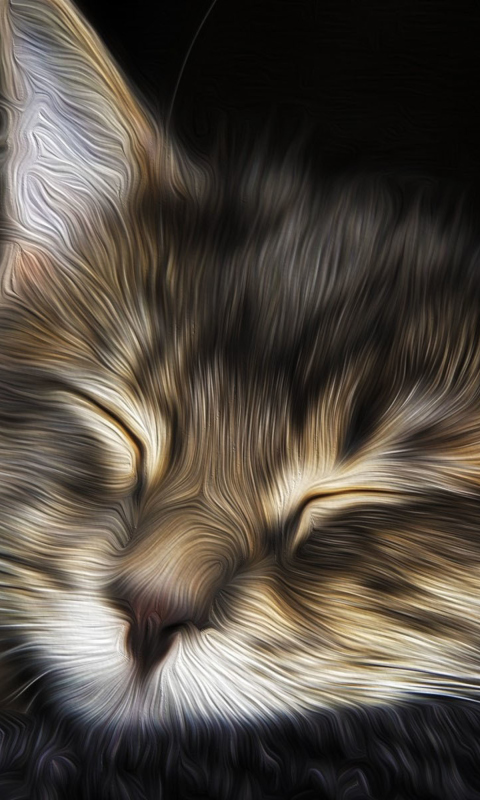 Das Sleepy Cat Art Wallpaper 480x800