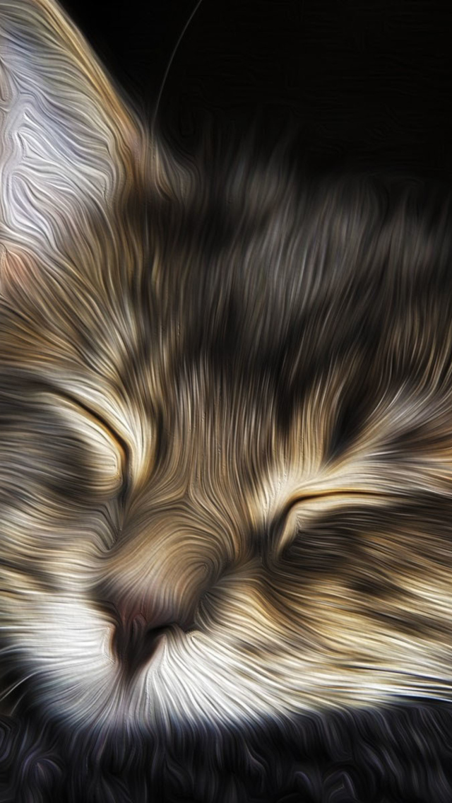 Обои Sleepy Cat Art 640x1136