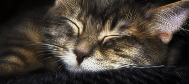 Обои Sleepy Cat Art 720x320
