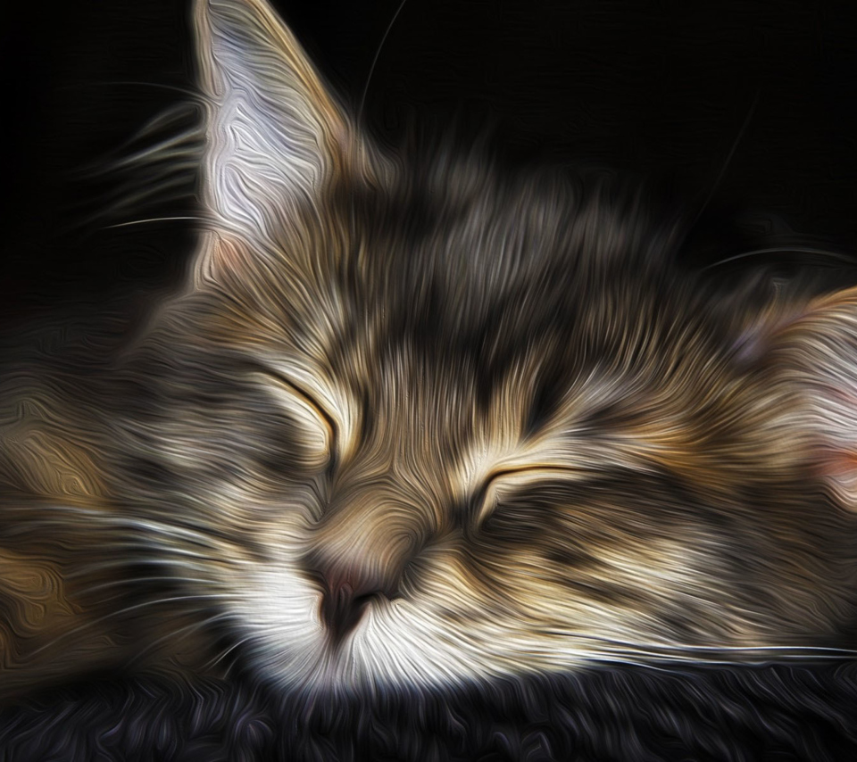 Das Sleepy Cat Art Wallpaper 960x854