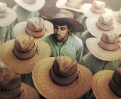 Das Mexican Hats Wallpaper 176x144