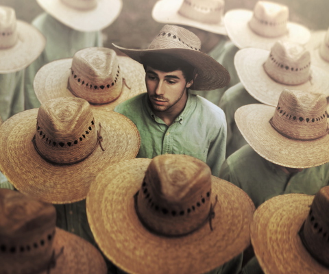 Das Mexican Hats Wallpaper 480x400