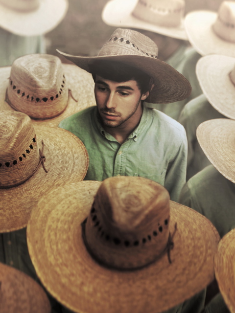 Fondo de pantalla Mexican Hats 480x640