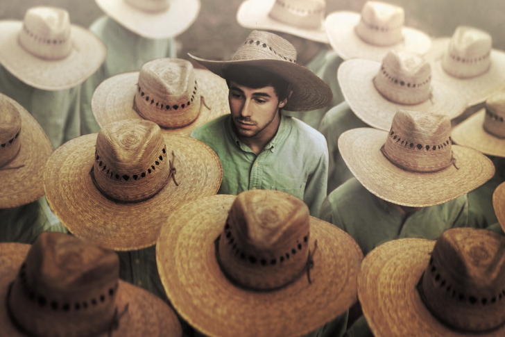 Обои Mexican Hats