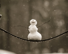 Обои Happy Snowman 220x176