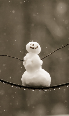 Das Happy Snowman Wallpaper 240x400