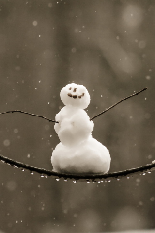 Fondo de pantalla Happy Snowman 320x480