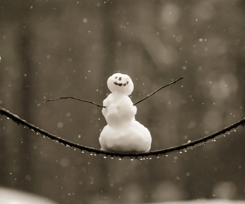 Das Happy Snowman Wallpaper 480x400