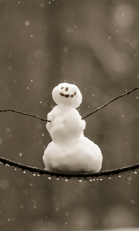 Das Happy Snowman Wallpaper 480x800