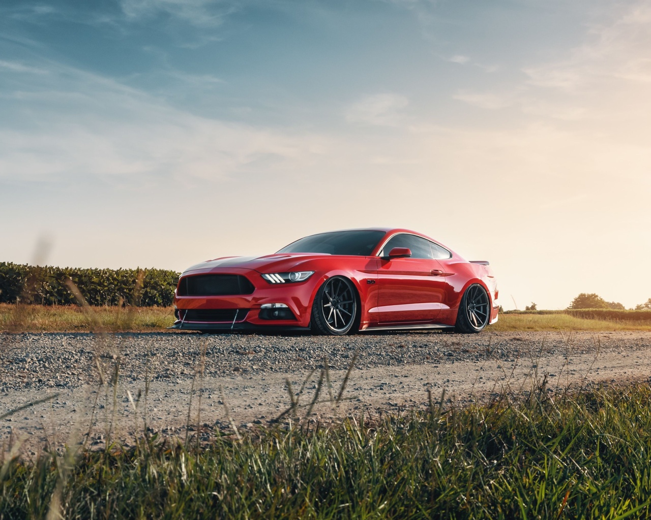 Das Ford Mustang GT Red Wallpaper 1280x1024