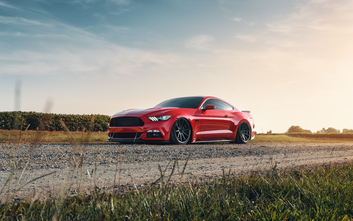Fondo de pantalla Ford Mustang GT Red 1440x900