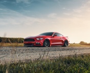 Ford Mustang GT Red wallpaper 176x144