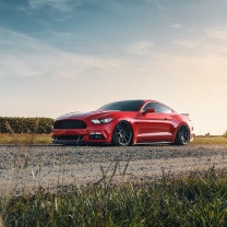 Das Ford Mustang GT Red Wallpaper 208x208