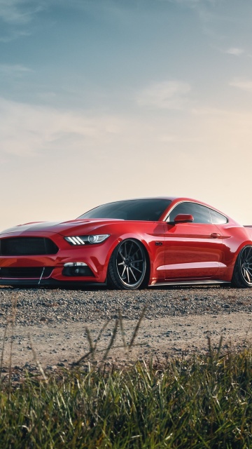 Обои Ford Mustang GT Red 360x640