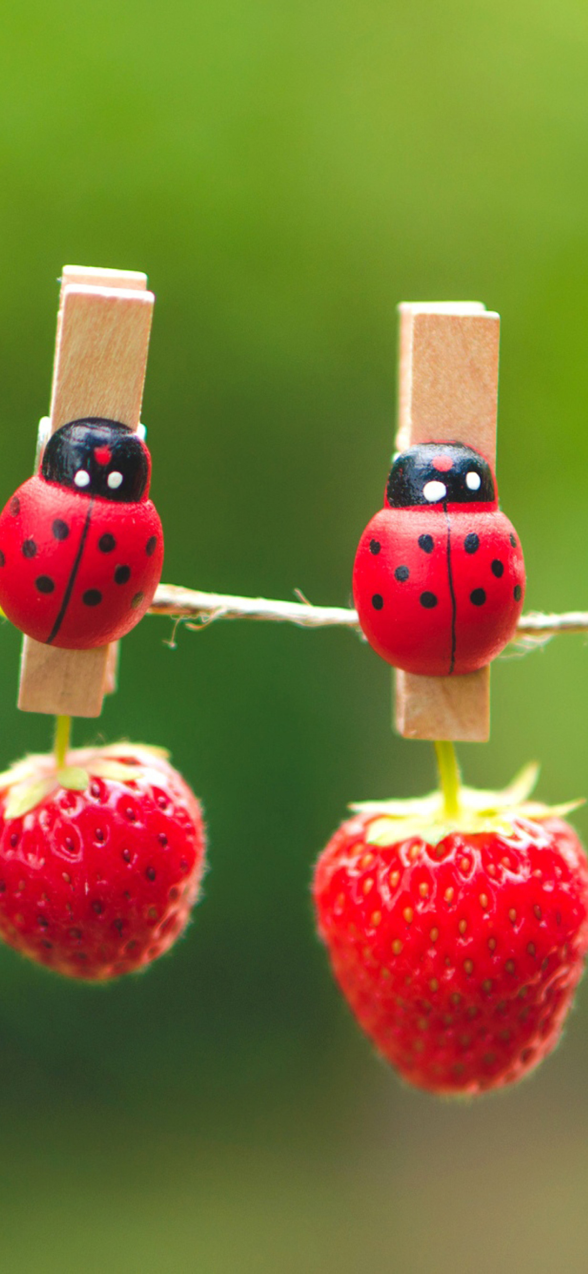 Das Ladybugs And Strawberries Wallpaper 1170x2532