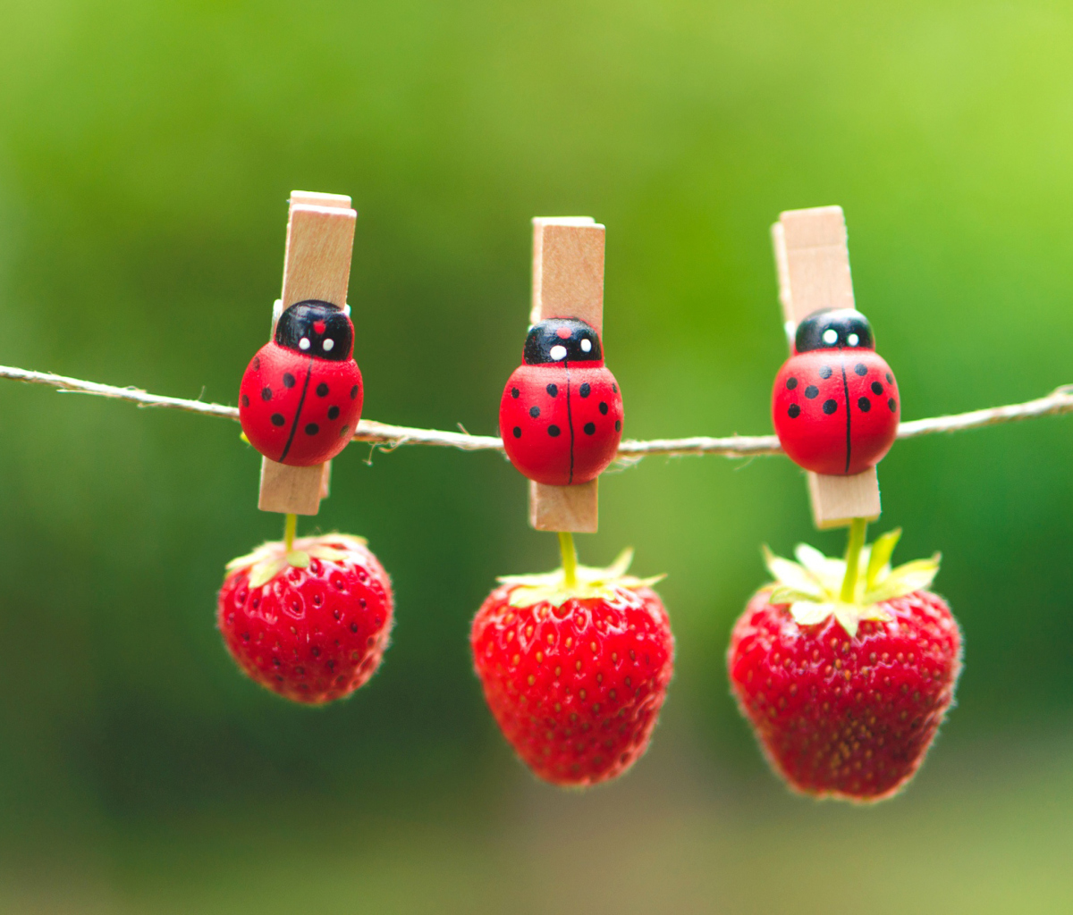 Ladybugs And Strawberries screenshot #1 1200x1024