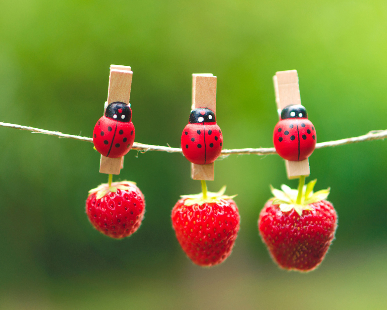 Das Ladybugs And Strawberries Wallpaper 1280x1024