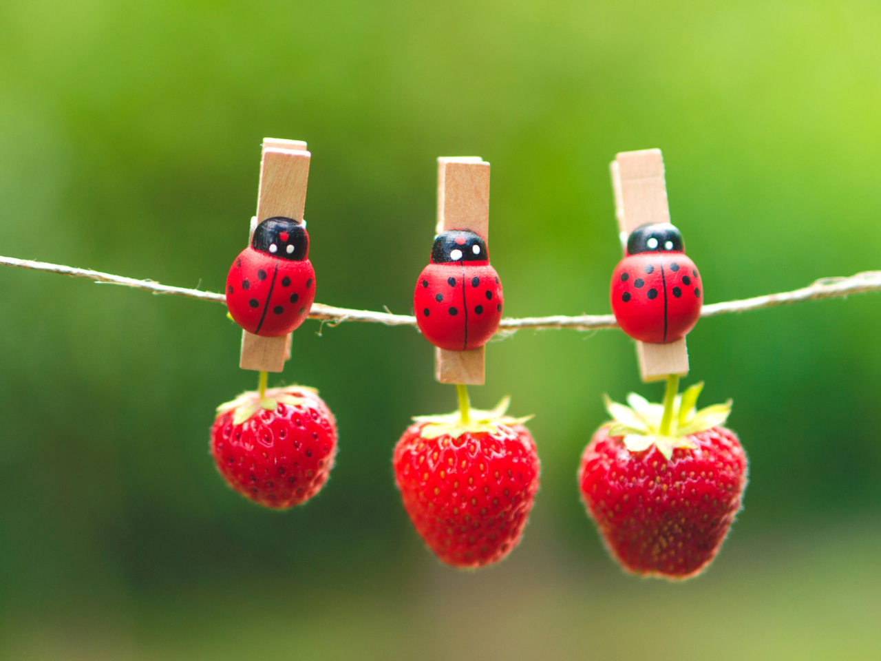 Обои Ladybugs And Strawberries 1280x960