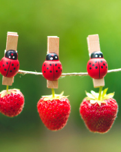 Ladybugs And Strawberries wallpaper 176x220