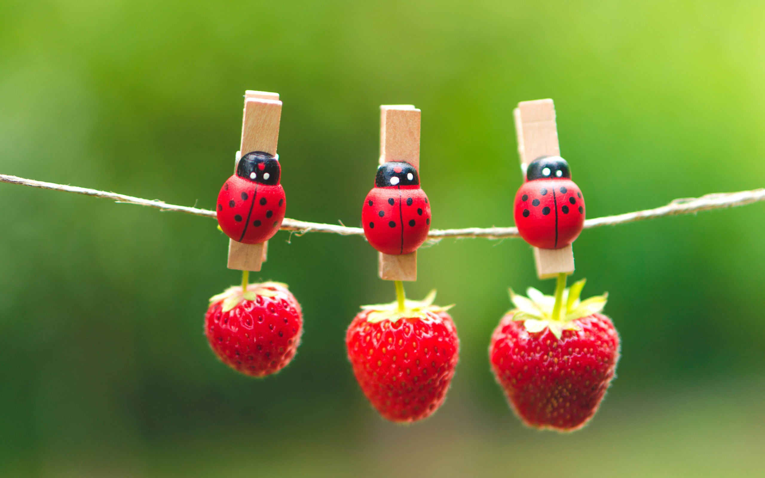 Das Ladybugs And Strawberries Wallpaper 2560x1600