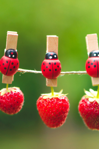 Das Ladybugs And Strawberries Wallpaper 320x480