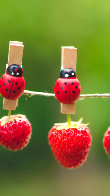 Das Ladybugs And Strawberries Wallpaper 360x640