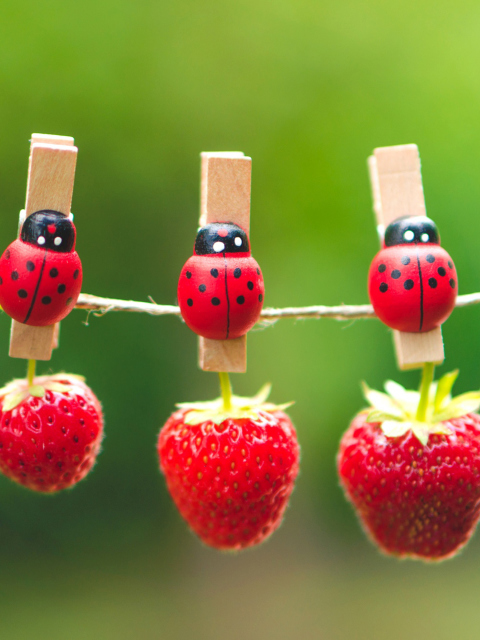Обои Ladybugs And Strawberries 480x640