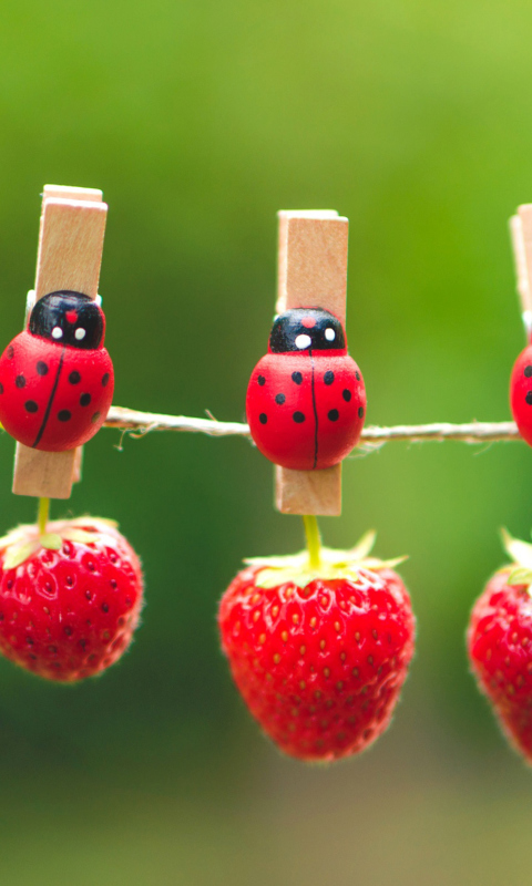 Ladybugs And Strawberries wallpaper 480x800