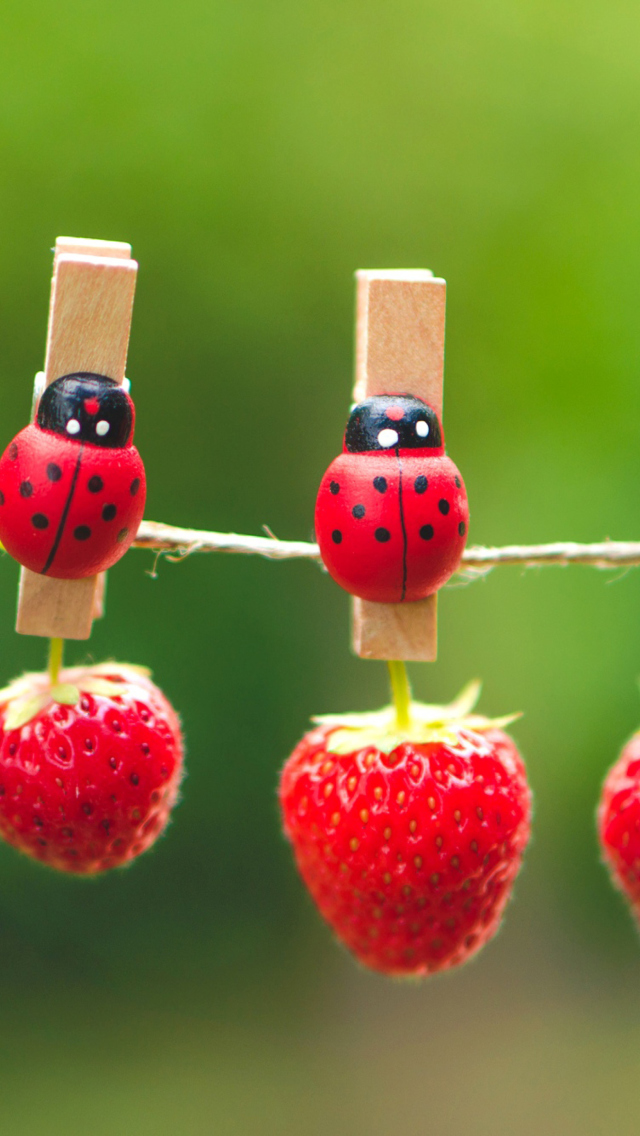 Ladybugs And Strawberries wallpaper 640x1136