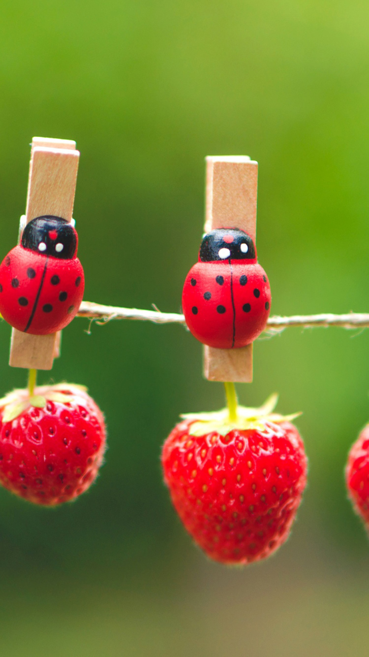 Sfondi Ladybugs And Strawberries 750x1334