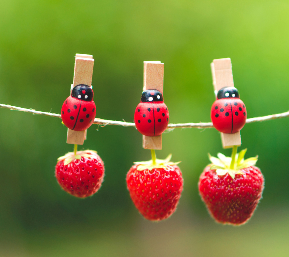 Das Ladybugs And Strawberries Wallpaper 960x854