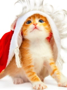 Christmas Kitten wallpaper 132x176