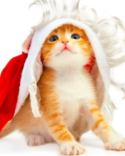 Das Christmas Kitten Wallpaper 176x220