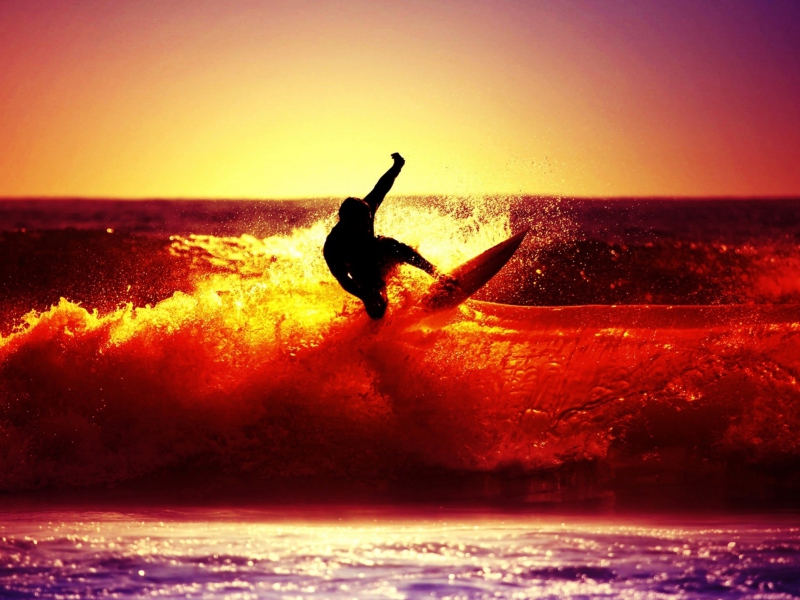 Обои Surfing At Sunset 800x600