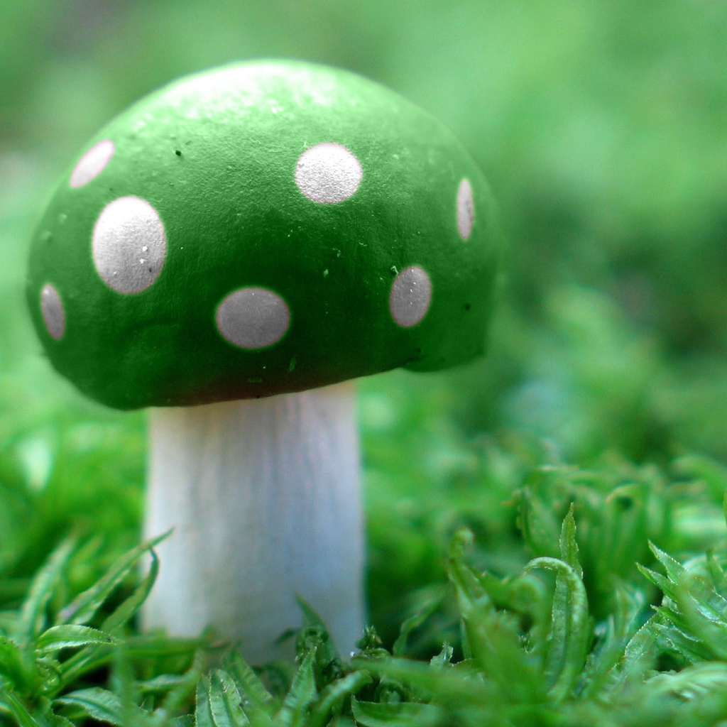 Fondo de pantalla Green Mushroom 1024x1024