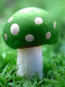 Das Green Mushroom Wallpaper 132x176
