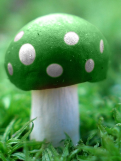 Обои Green Mushroom 240x320
