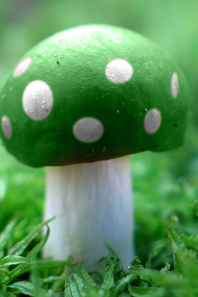 Обои Green Mushroom 640x960