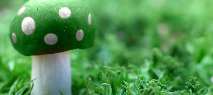 Das Green Mushroom Wallpaper 720x320