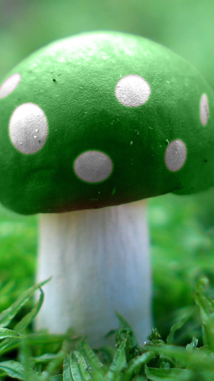 Green Mushroom wallpaper 750x1334