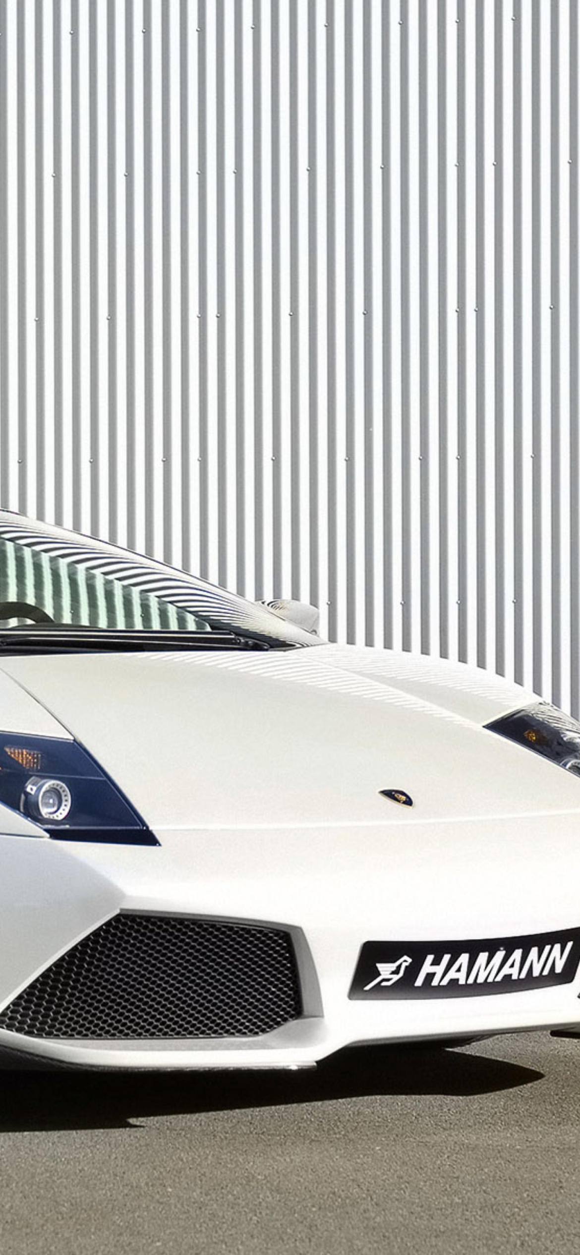 Обои Lamborghini Hamann 1170x2532