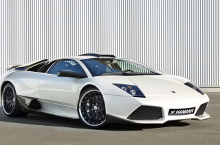 Lamborghini Hamann Picture for Android, iPhone and iPad
