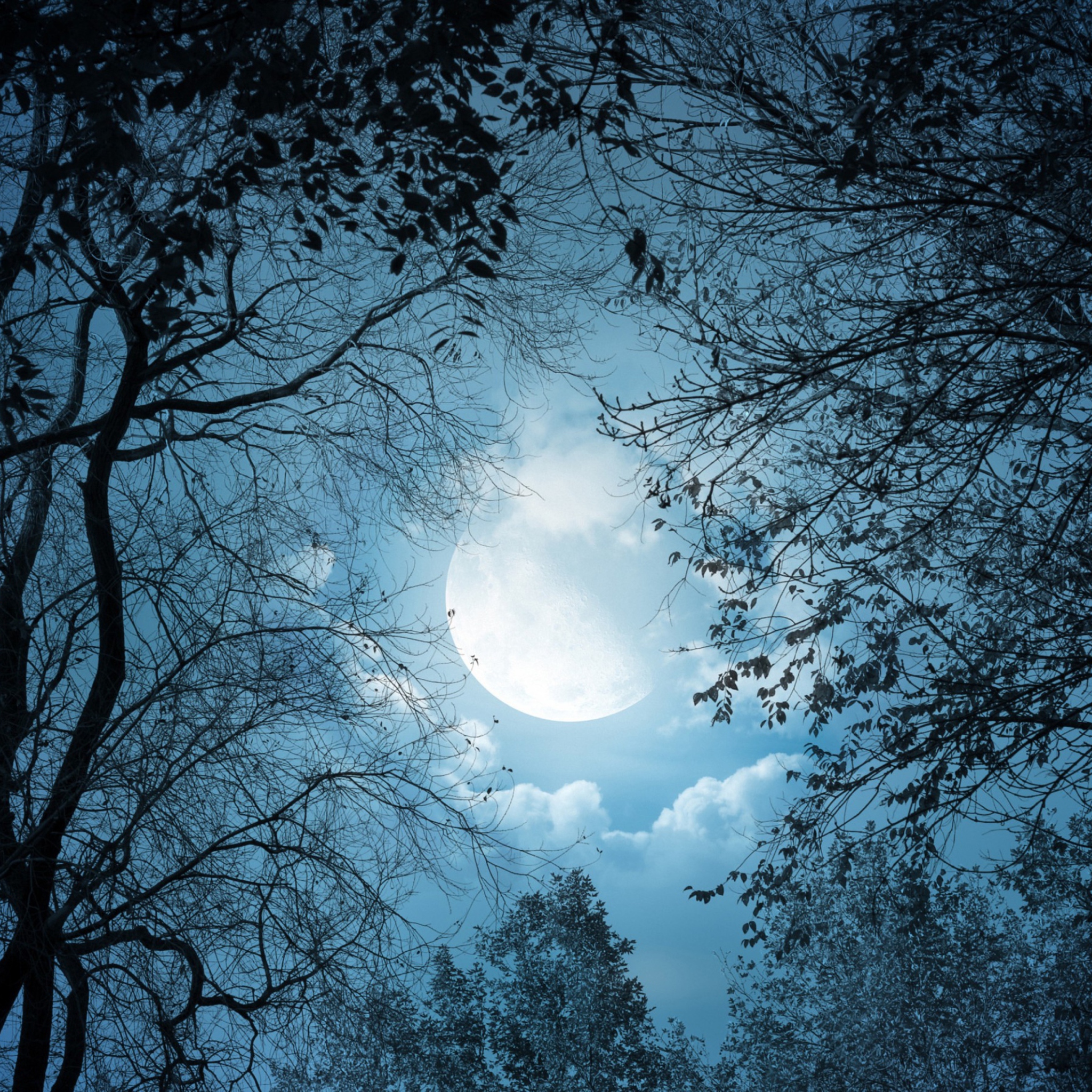 Full Moon Time wallpaper 2048x2048