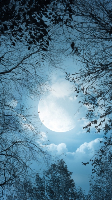 Das Full Moon Time Wallpaper 360x640