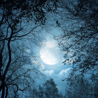 Картинка Full Moon Time на телефон iPad mini 2