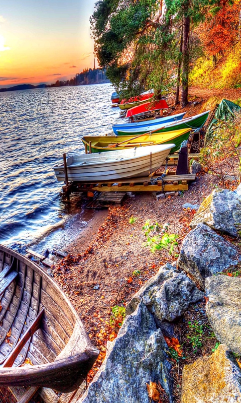 Beach with boats wallpaper 480x800