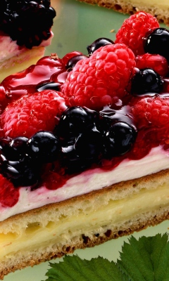 Raspberry And Blackberry Dessert screenshot #1 240x400