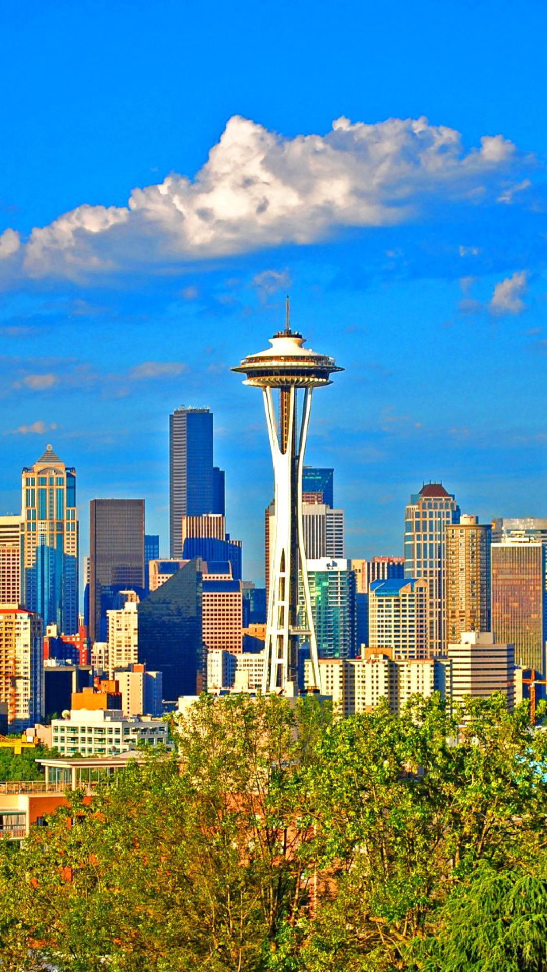 Fondo de pantalla Seattle Landscape, Washington 1080x1920