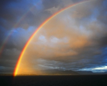 Sfondi Rainbow 220x176